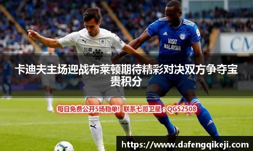 卡迪夫主场迎战布莱顿期待精彩对决双方争夺宝贵积分